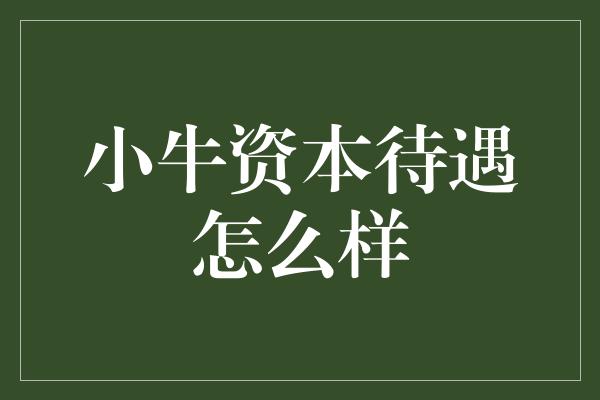 小牛资本待遇怎么样