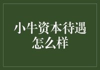 小牛资本待遇怎么样？员工们说：工作就像在‘牛’途上漫步