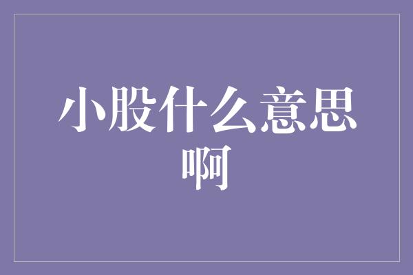 小股什么意思啊