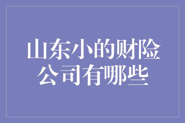 山东小的财险公司有哪些