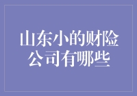 山东小财险公司：一群小而美的保险界武林盟主