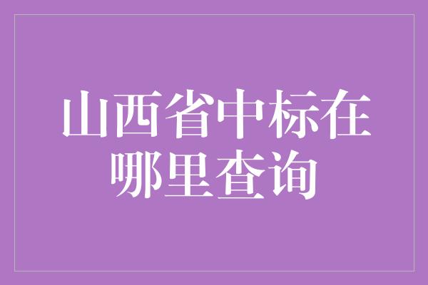 山西省中标在哪里查询