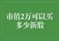 市值2万可以买多少新股？浅谈个人投资者在新股认购中的策略