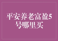 平安养老富盈5号的神秘买家指南：寻找财务安全感的终极宝典