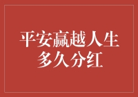 分红机制：解读平安赢越人生保险产品的分红周期与收益潜力