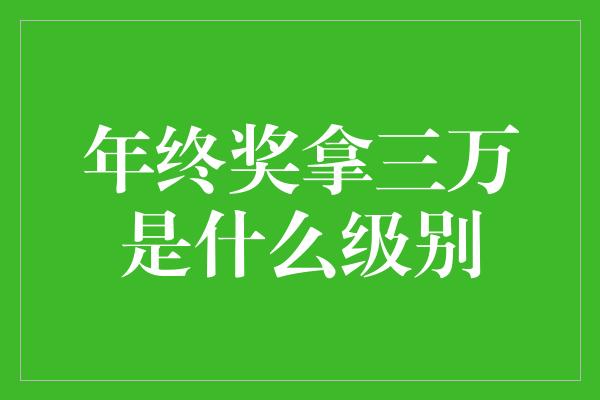 年终奖拿三万是什么级别