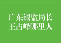 广东银监局长王占峰的神秘身世大揭秘：来自火星的银监之星？