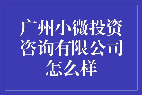 广州小微投资咨询有限公司怎么样