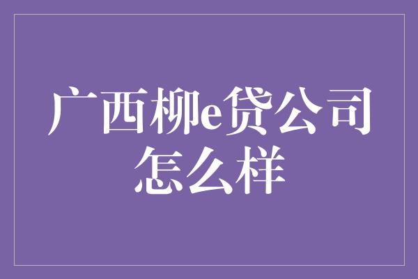 广西柳e贷公司怎么样