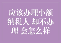 应该办理小额纳税人却未办理会面临哪些法律后果？