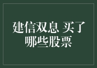 建信双息精选：揭示其股票配置的深层逻辑与市场动向