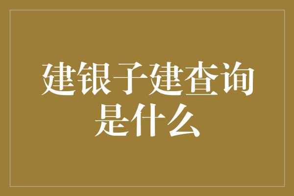 建银子建查询是什么