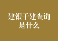 建银子建查询：我们一起挖掘建行的有趣角落