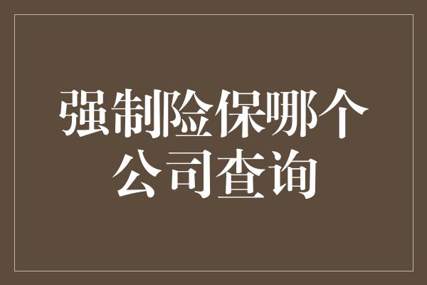 强制险保哪个公司查询