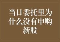 当日委托里为什么没有申购新股：解析股票申购机制