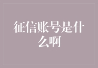 互联网金融时代的征信账号：数据驱动的个人信用评分机制探析