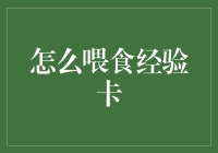 探索数字时代喂食经验卡：培养孩子新世代学习习惯