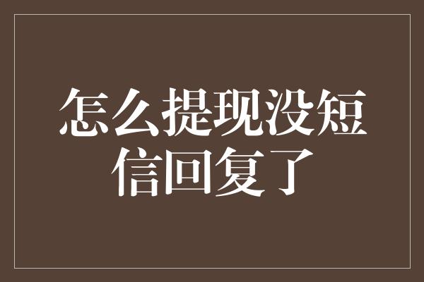 怎么提现没短信回复了