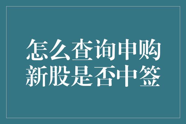 怎么查询申购新股是否中签