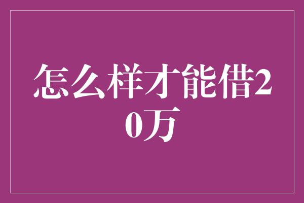 怎么样才能借20万