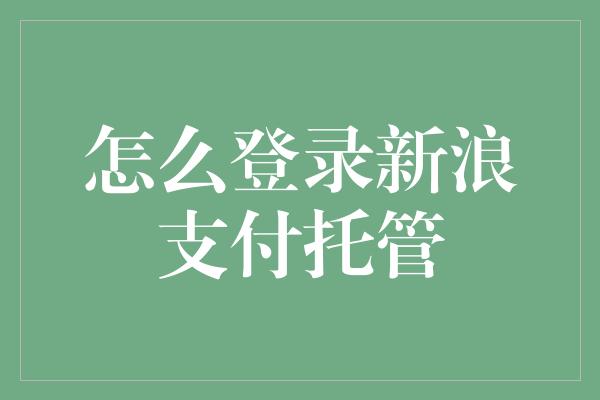 怎么登录新浪支付托管