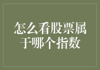 股市探秘：如何识别股票所属指数