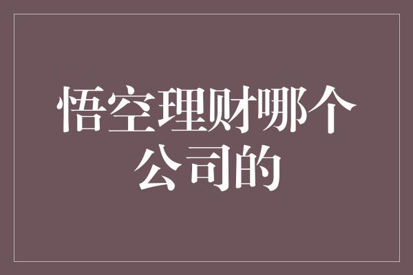 悟空理财哪个公司的