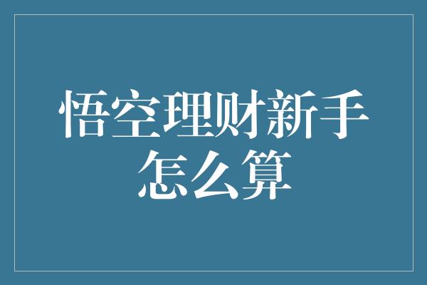 悟空理财新手怎么算