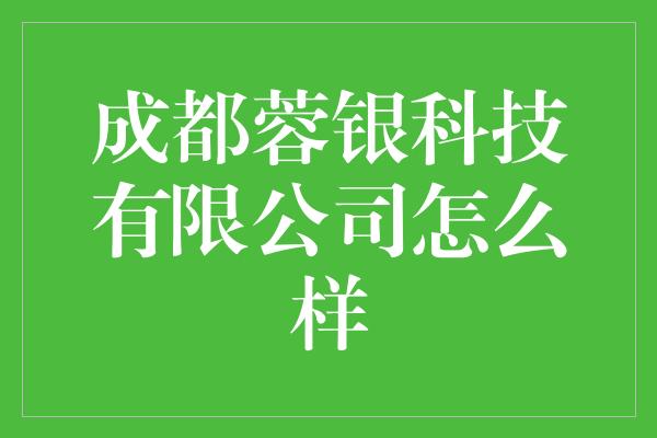 成都蓉银科技有限公司怎么样