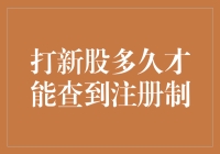 A股打新股注册制下，多久能查到新股申购信息与中签结果