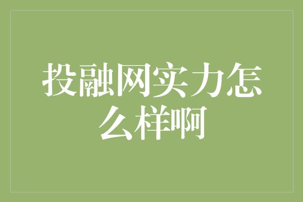 投融网实力怎么样啊