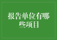 报告单位项目体系构建与管理策略解析