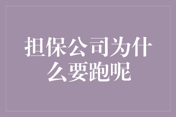 担保公司为什么要跑呢