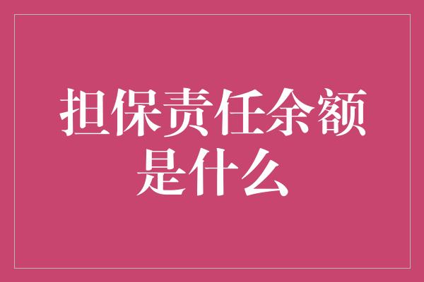 担保责任余额是什么