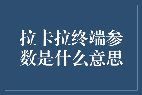 拉卡拉终端参数是什么意思