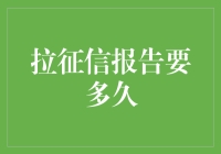 拉征信报告要多久：探索信用信息获取的效率与精准