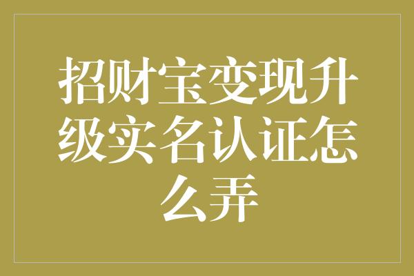 招财宝变现升级实名认证怎么弄