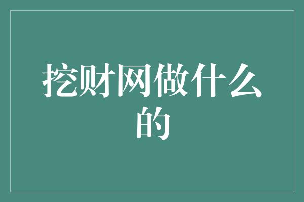 挖财网做什么的