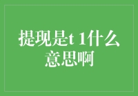 提现是T1什么意思啊？浅谈互联网金融中的术语