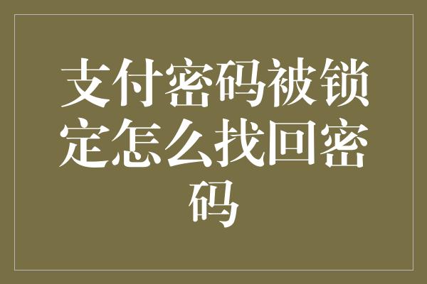 支付密码被锁定怎么找回密码