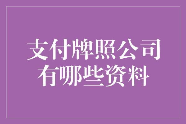 支付牌照公司有哪些资料