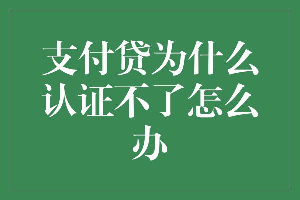 支付贷为什么认证不了怎么办