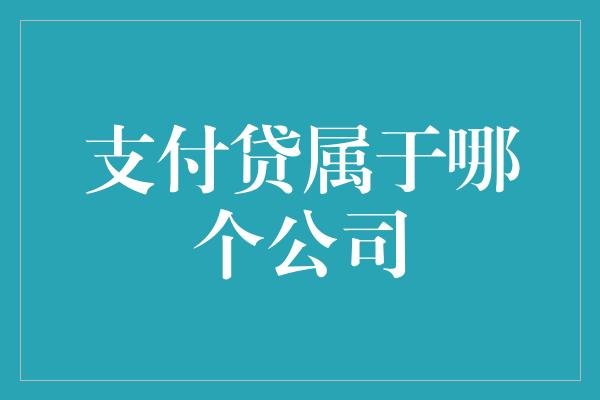 支付贷属于哪个公司