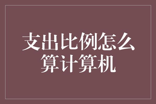 支出比例怎么算计算机