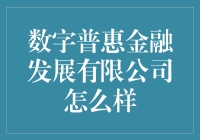 数字普惠金融发展有限公司：互联网金融的领军者