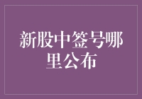 新股中签号哪里公布：一场投资者的金融盛宴