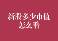 新股上市后市值如何查看：方法与注意事项