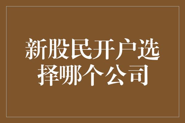 新股民开户选择哪个公司