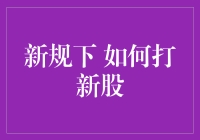 新规下 如何打新股：策略与技巧的全面解析