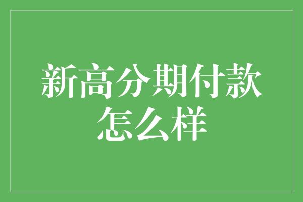 新高分期付款怎么样